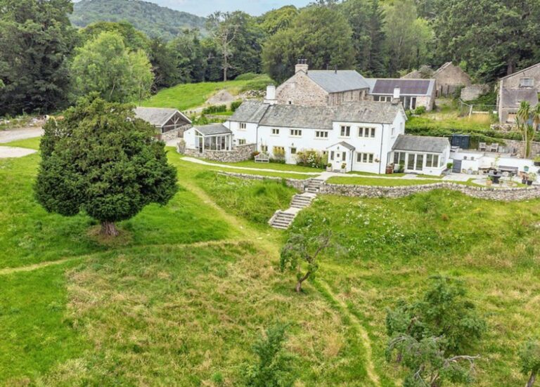 Brown Robin Lindale Road Image