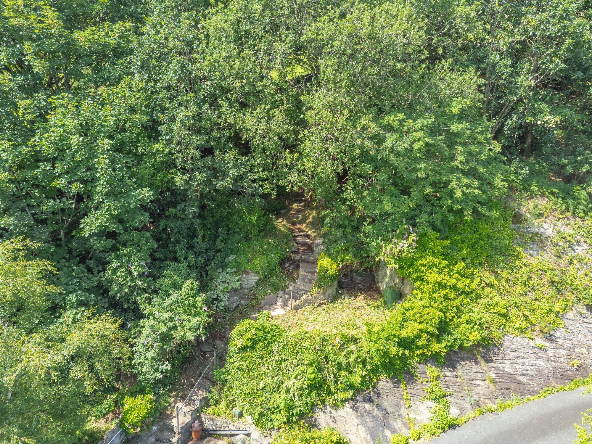 DJI_0895.jpg