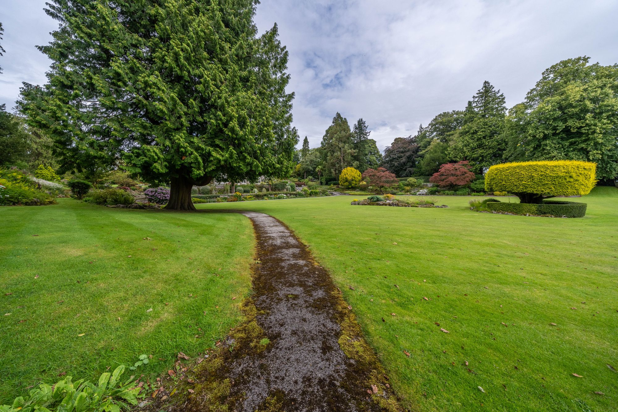 DSC05228-HDR.jpg