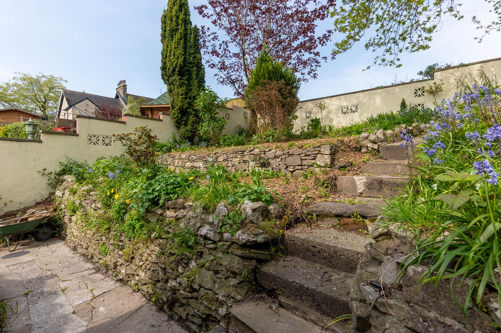 DSC05386-HDR.jpg