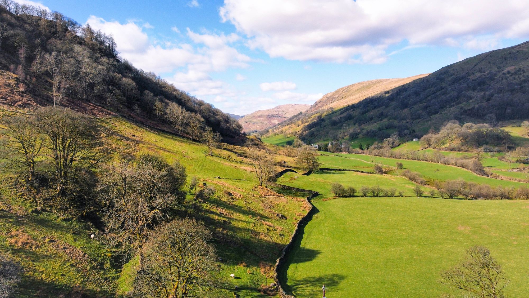 dji_fly_20230327_152318_13_1679927007815_photo_optimized.jpg