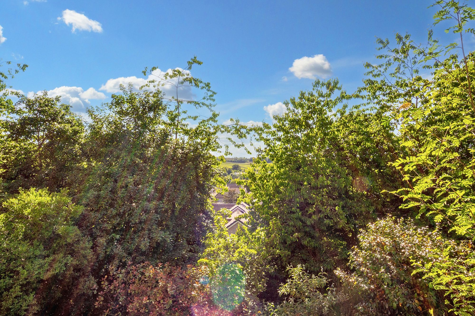 e8b52bef-1bdf-47ee-8375-00ae79a7fa0d.jpg