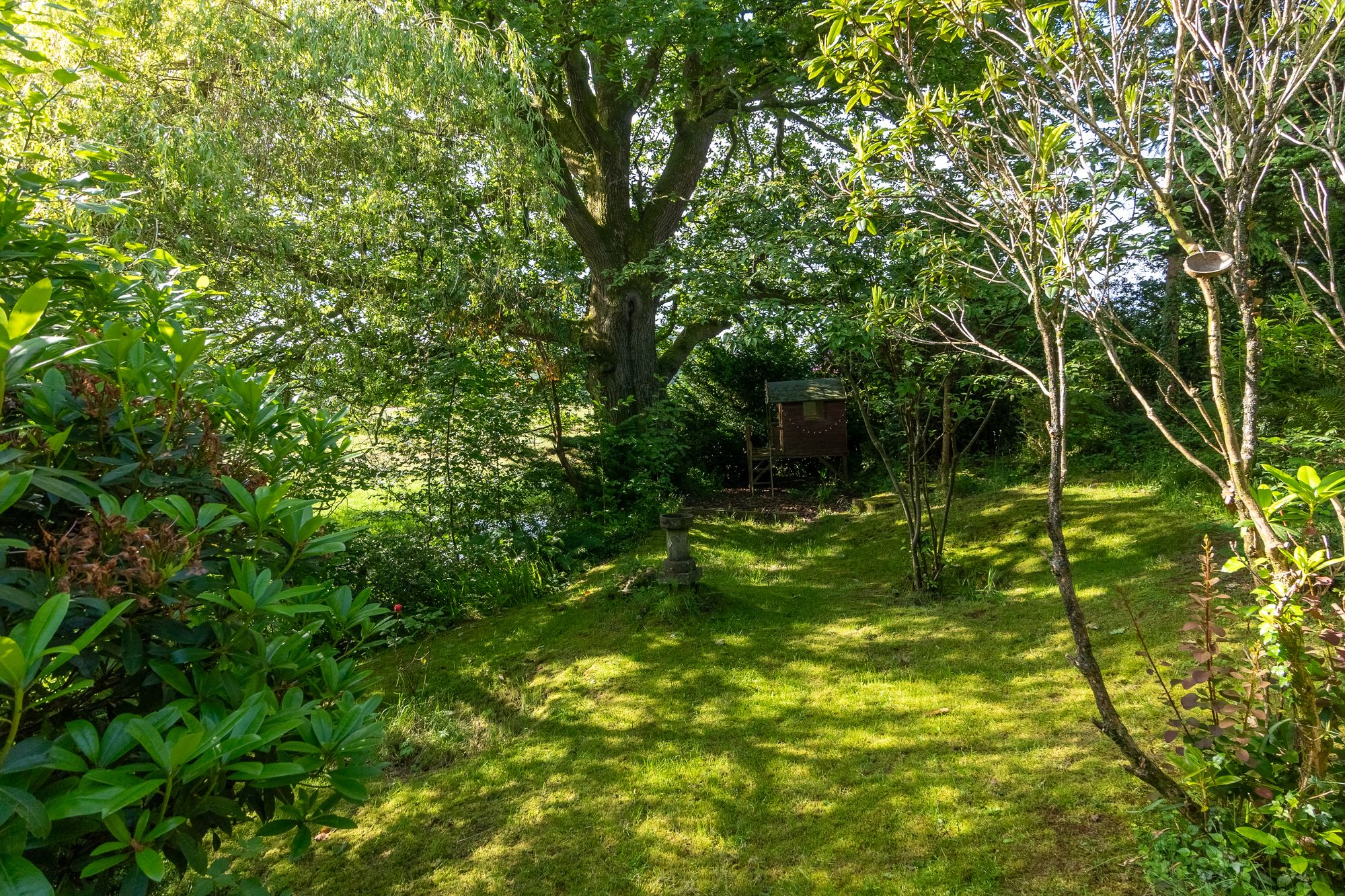 DSC00537-HDR.jpg