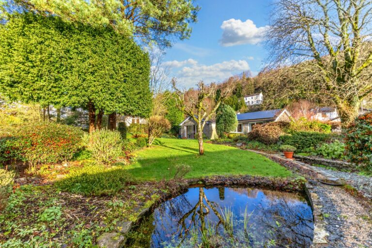 Crow Wood Image