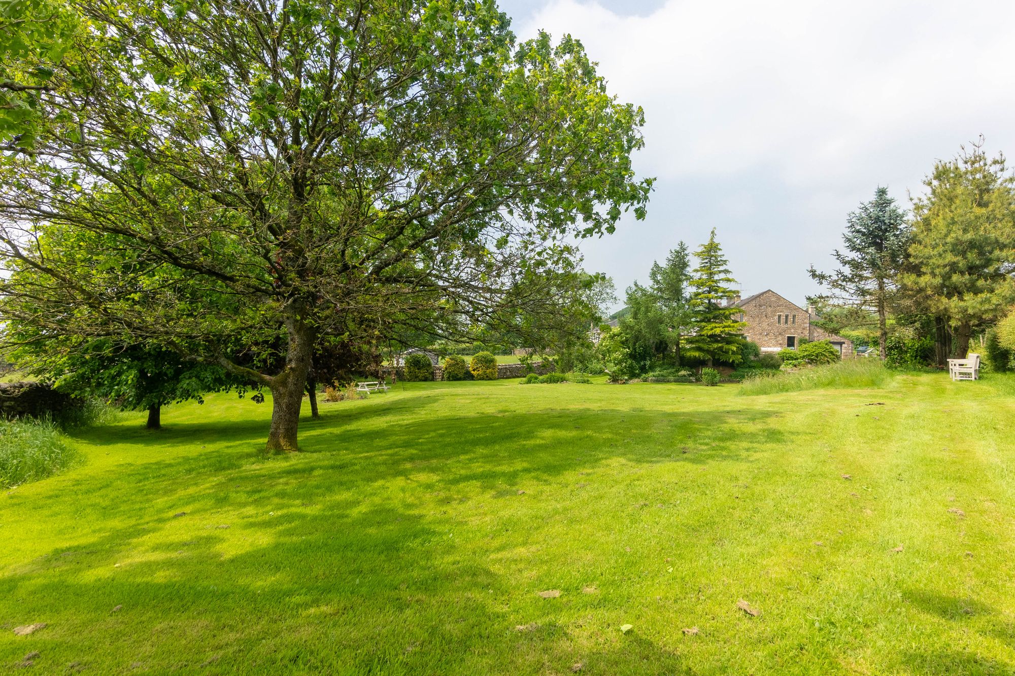 DSC08415-HDR.jpg