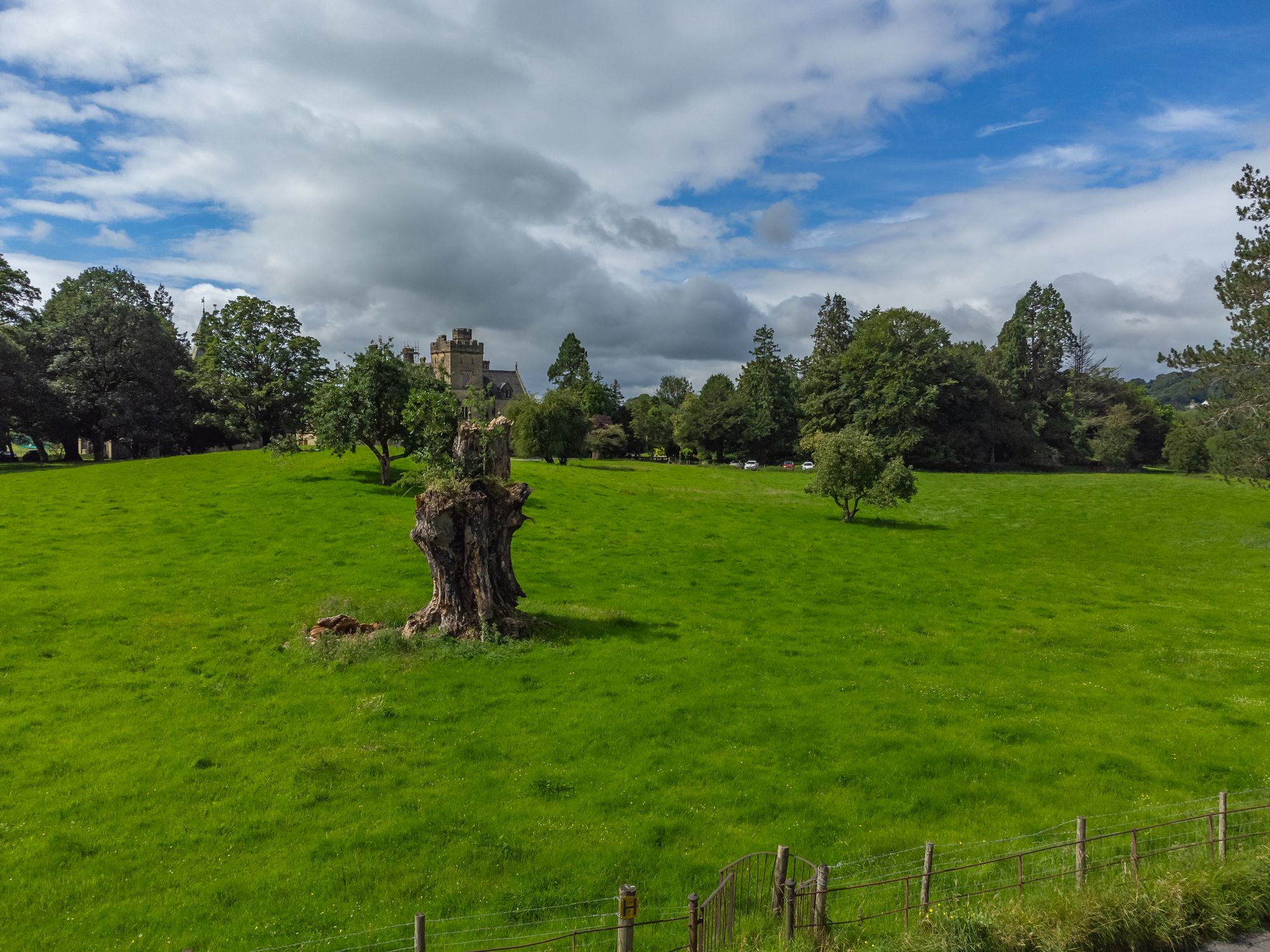 DJI_0907.jpg