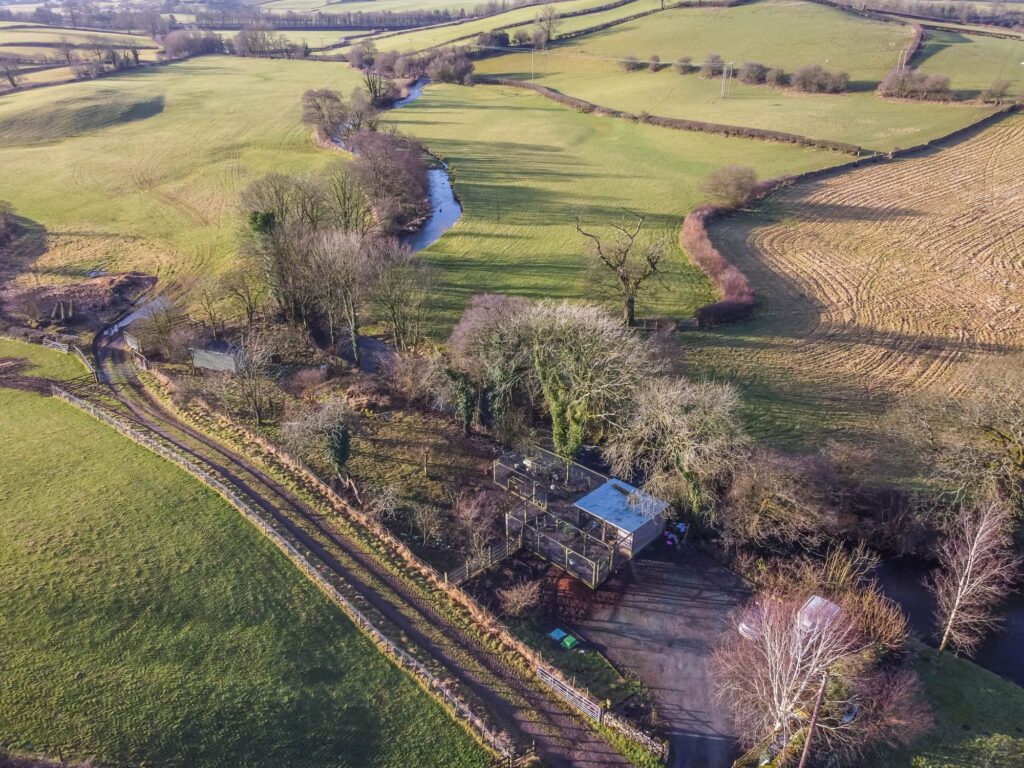 Property Image 47
