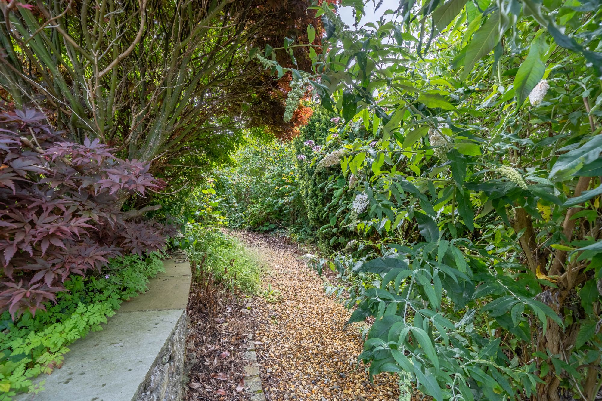 DSC00272-HDR.jpg
