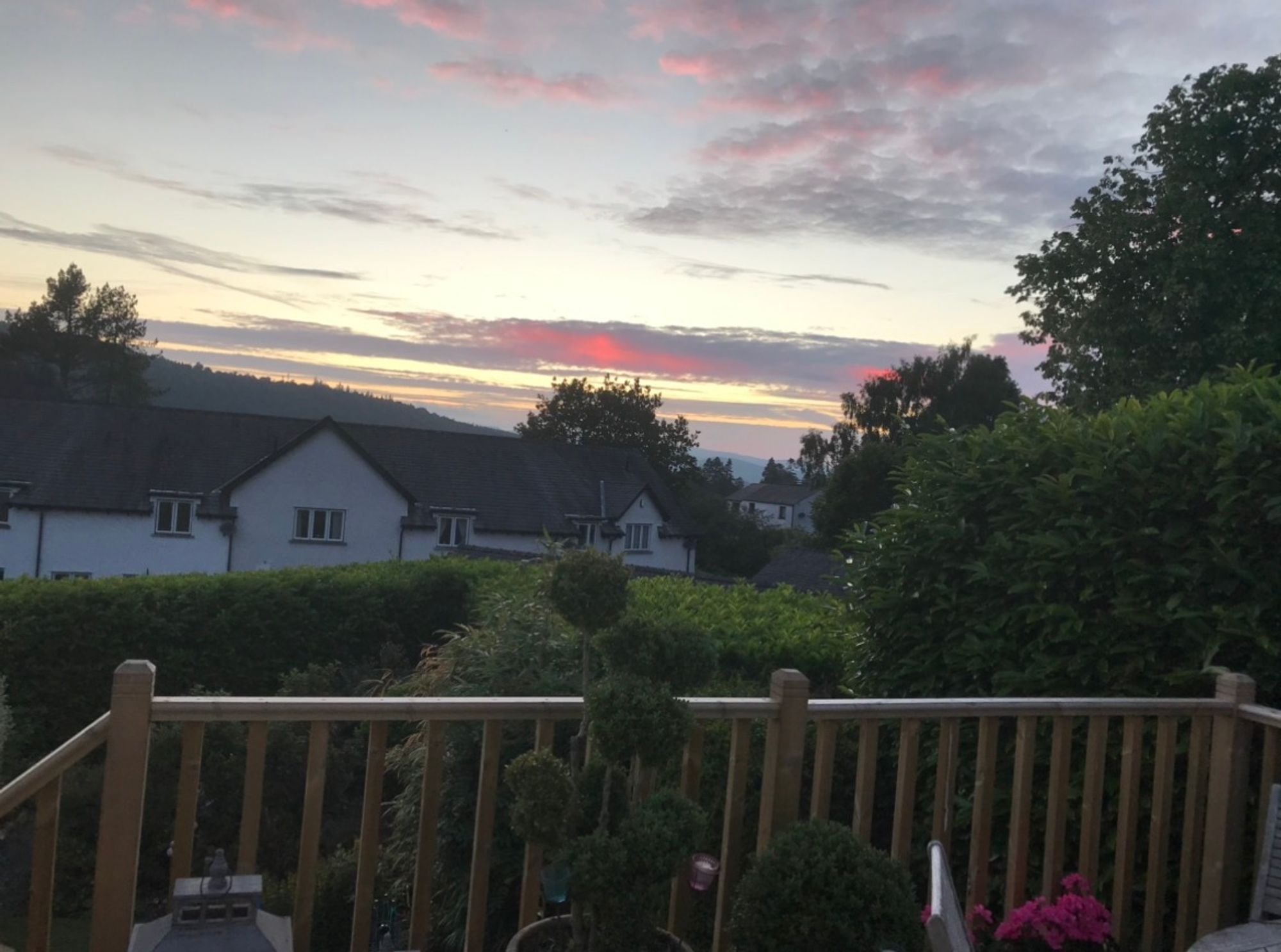 IMG_0594.jpeg