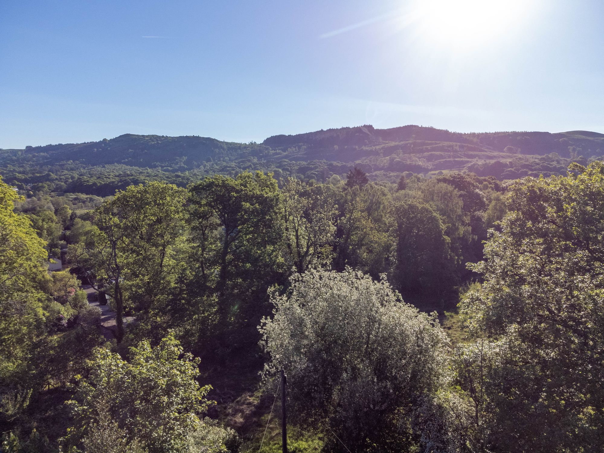 DJI_0729.jpg
