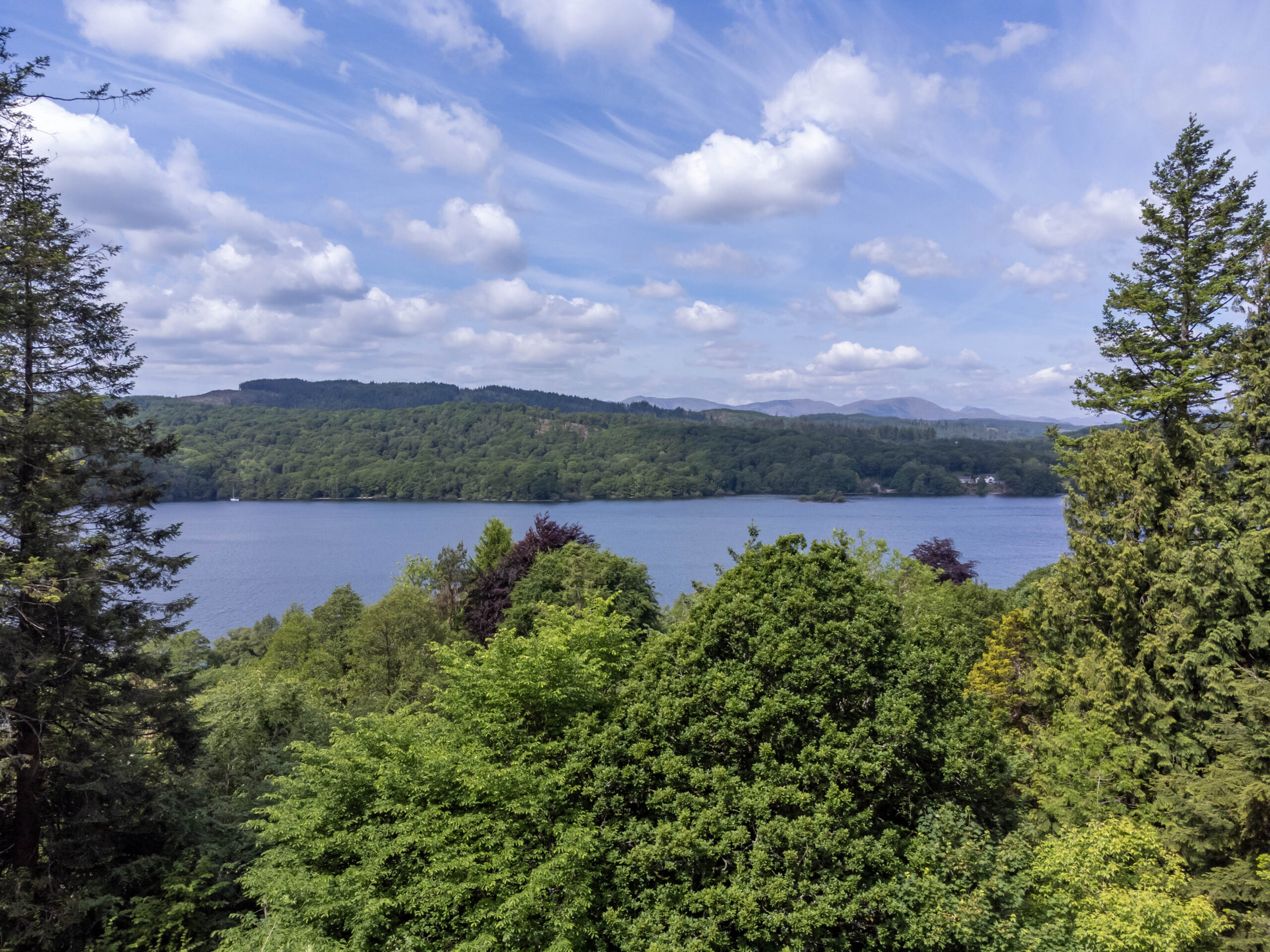 DJI_0731.jpg
