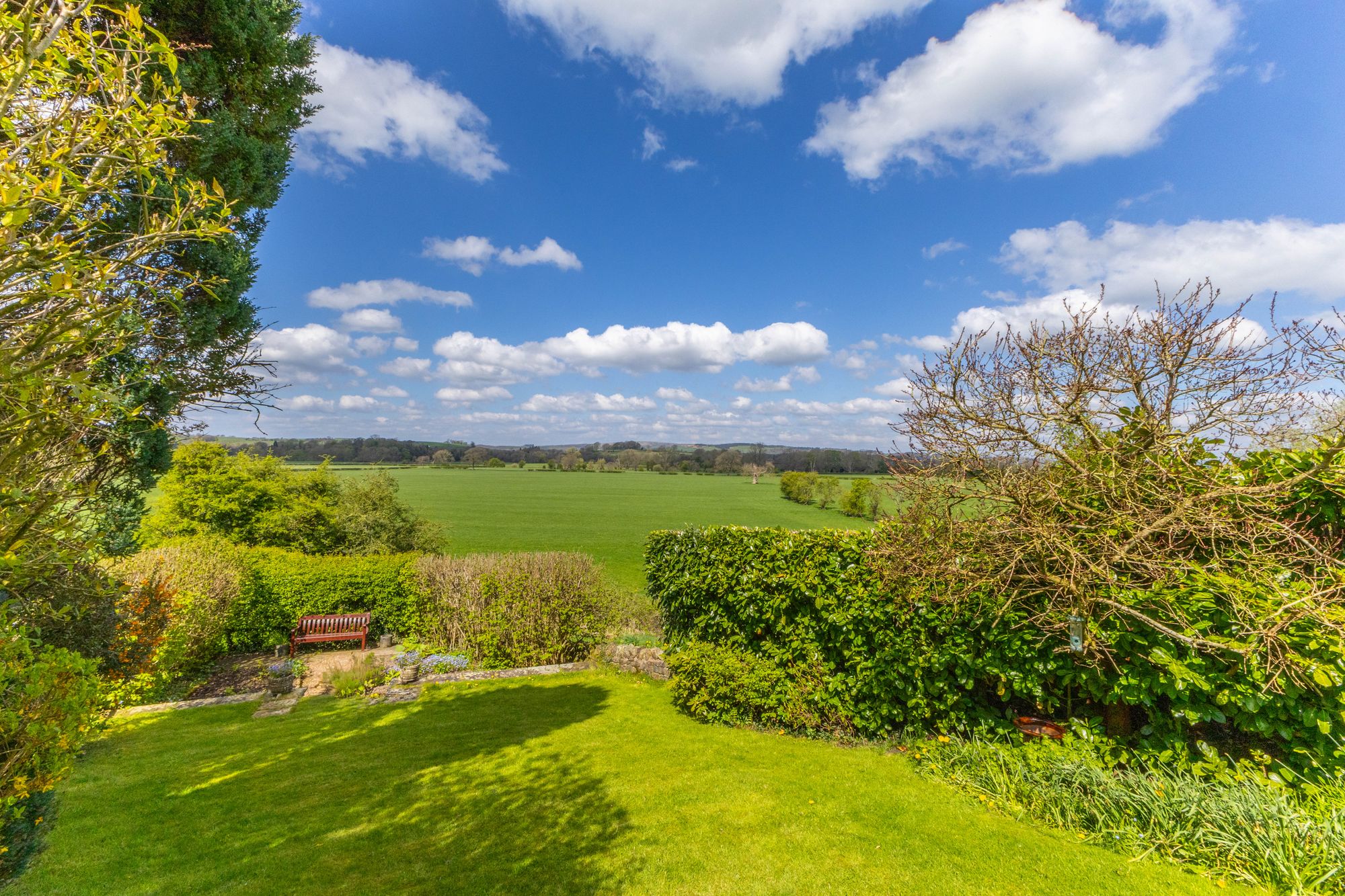 IMG_6390.jpg