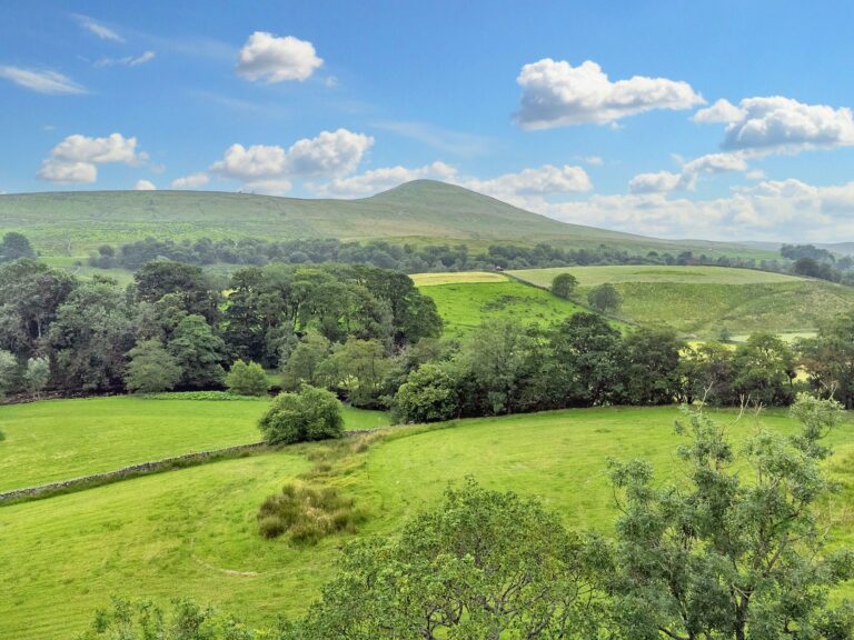 Property Image 65