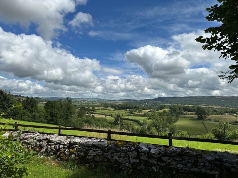 Dale Lea Image