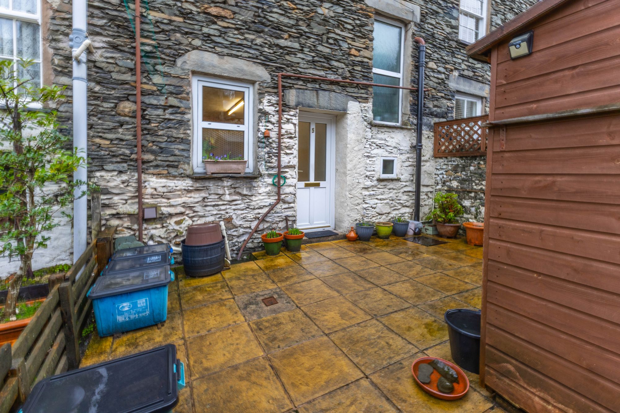 IMG_6642.jpg