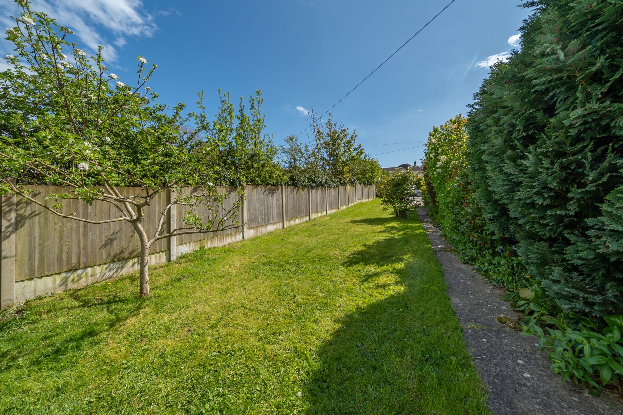 DSC05654-HDR.jpg