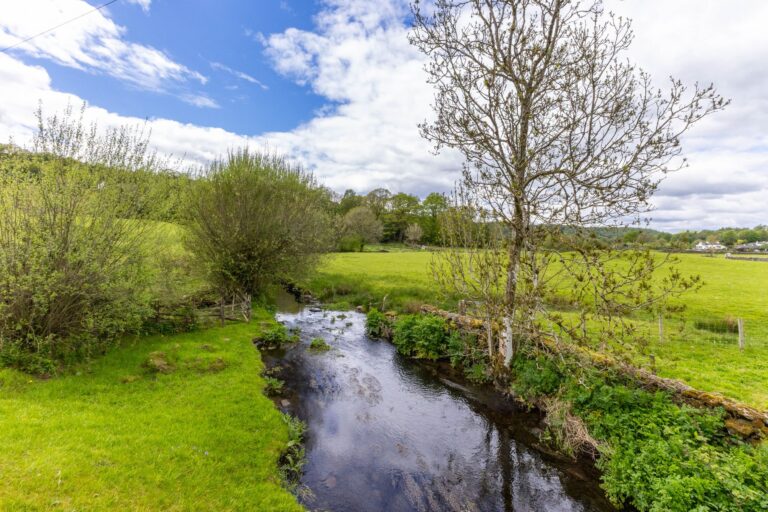 Property Image 55