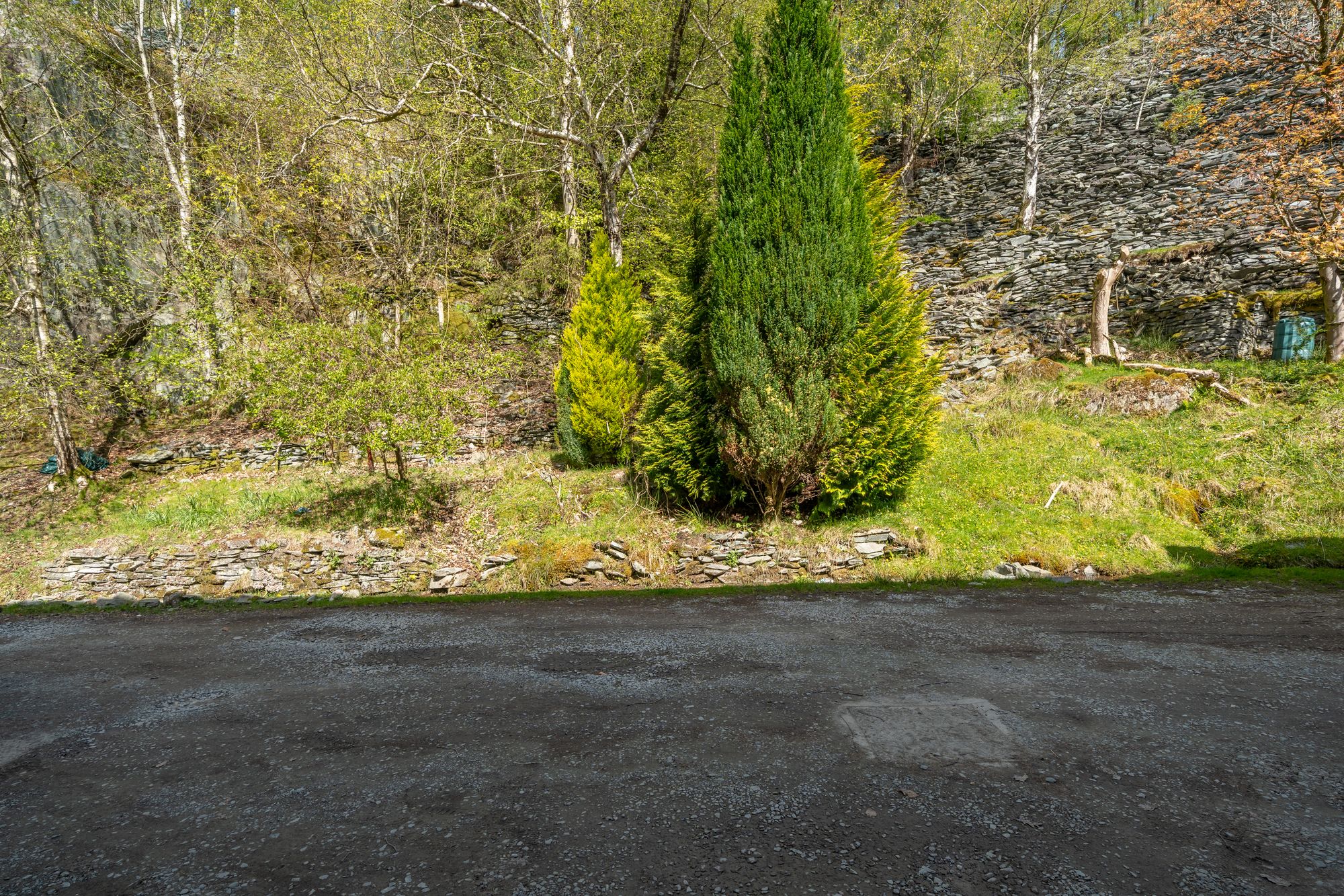 DSC00826-HDR.jpg
