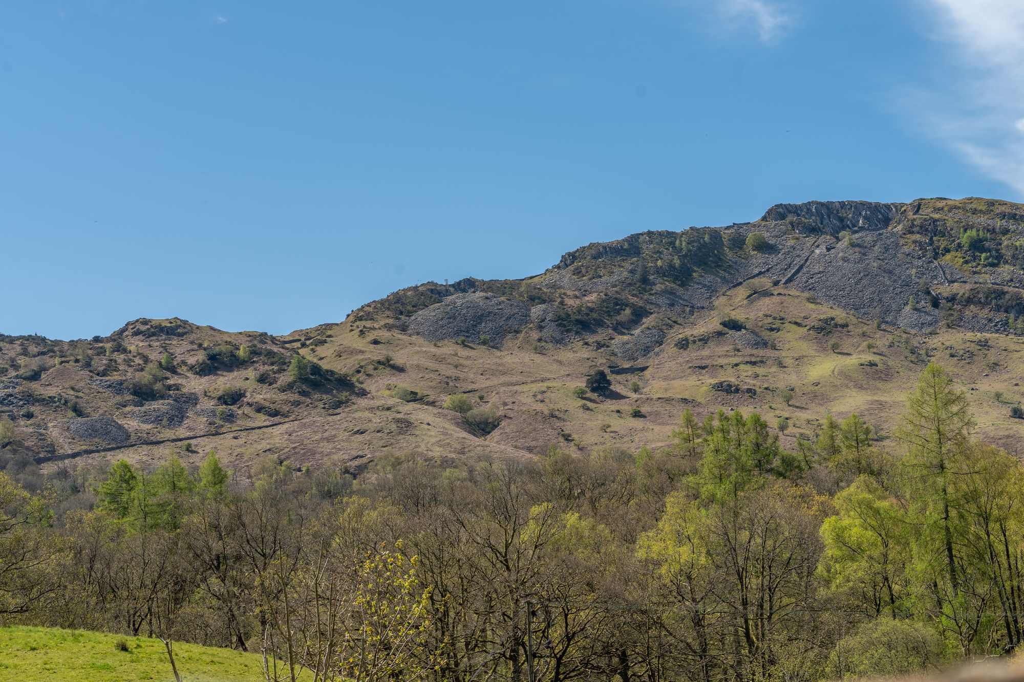DSC00876-HDR.jpg
