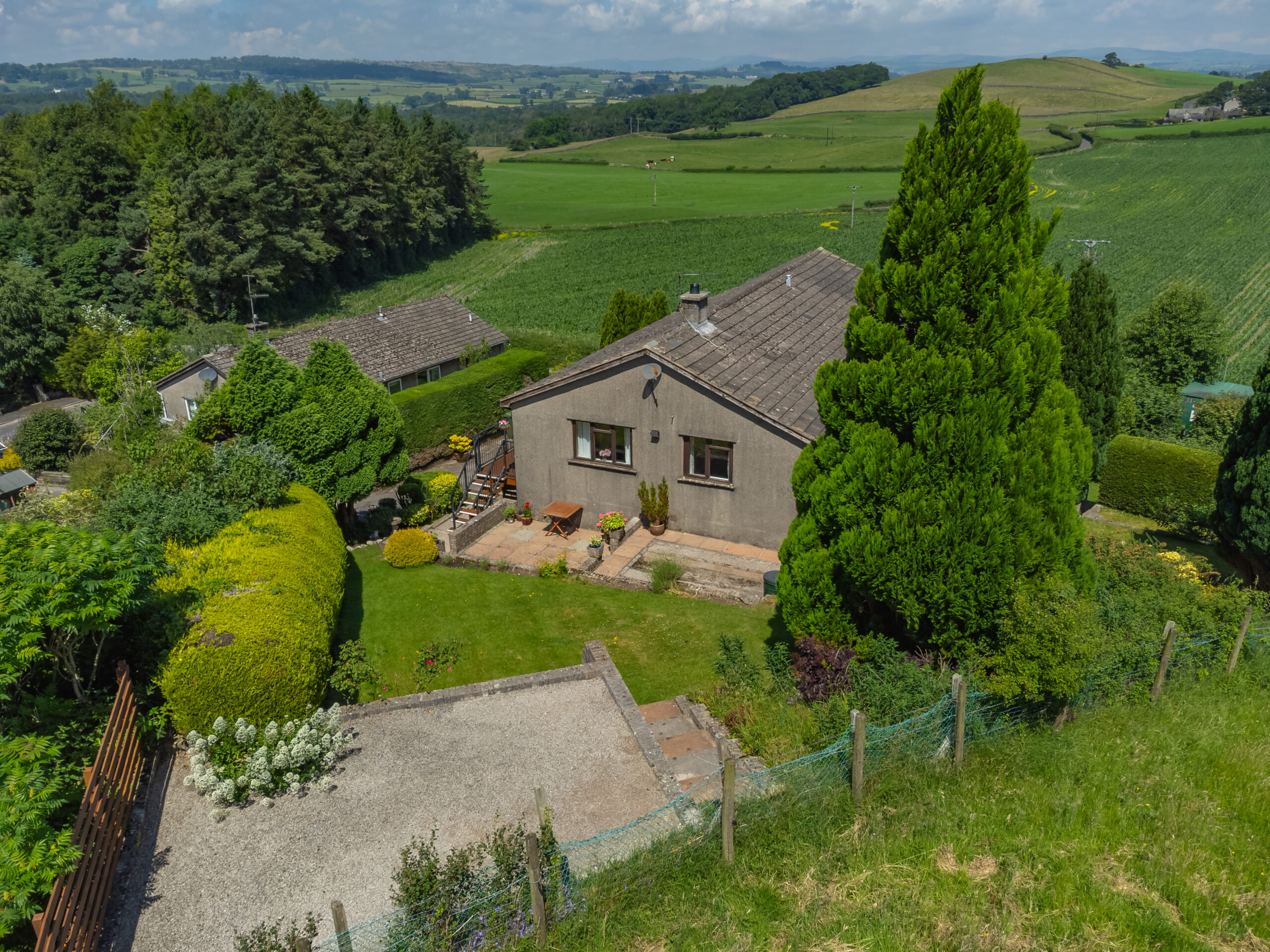 DJI_0459.jpg