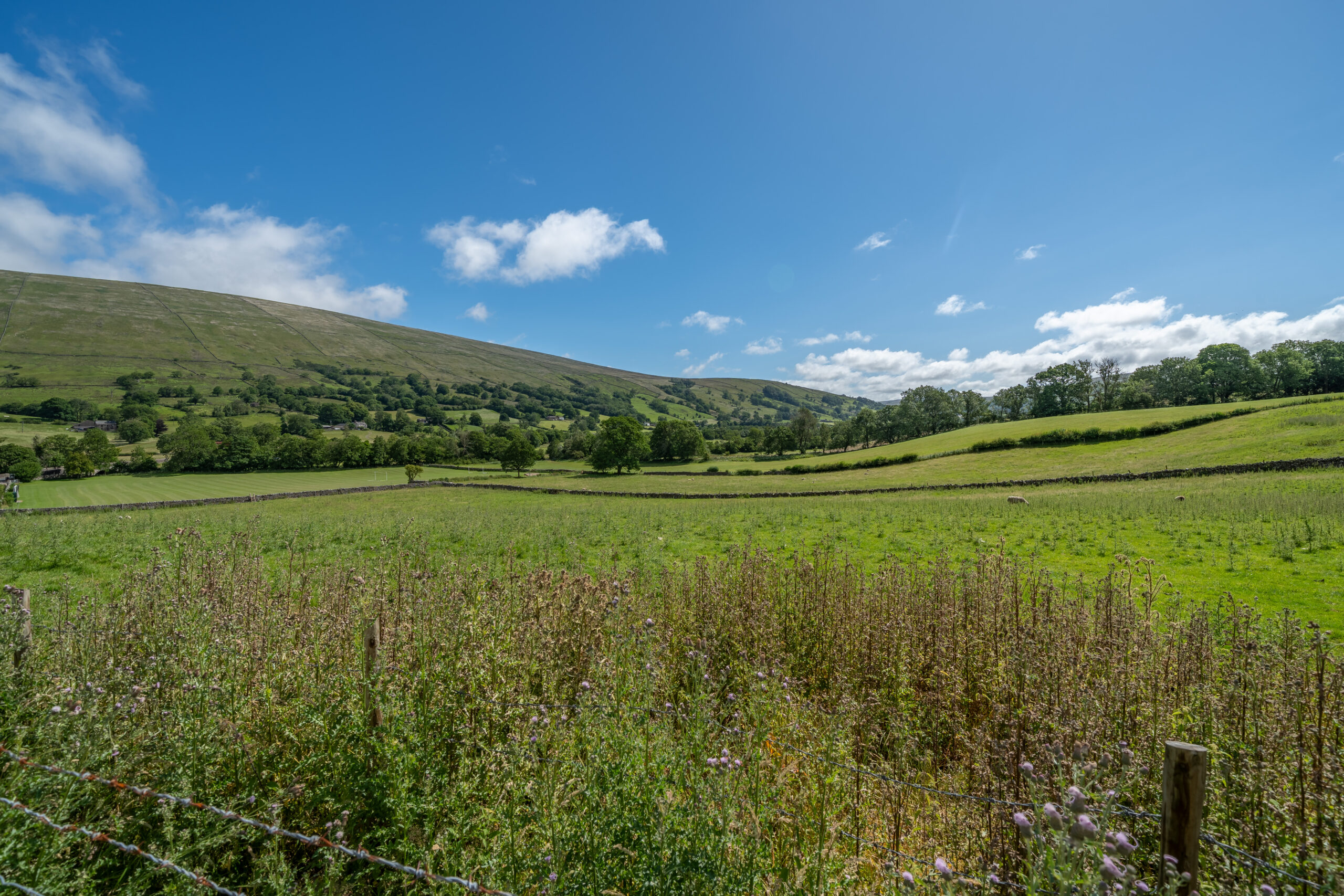 DSC04355-HDR.jpg