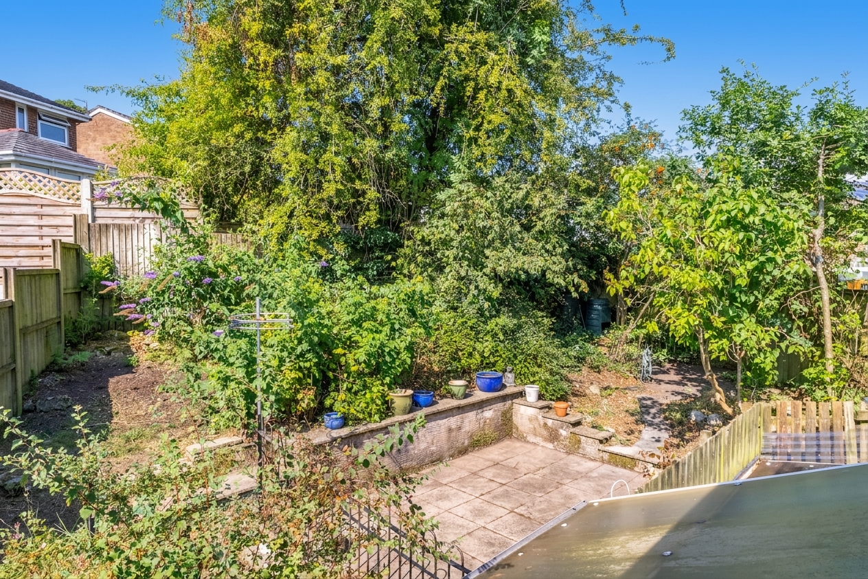 ai-enhanced-6a60d18bd014c.jpg