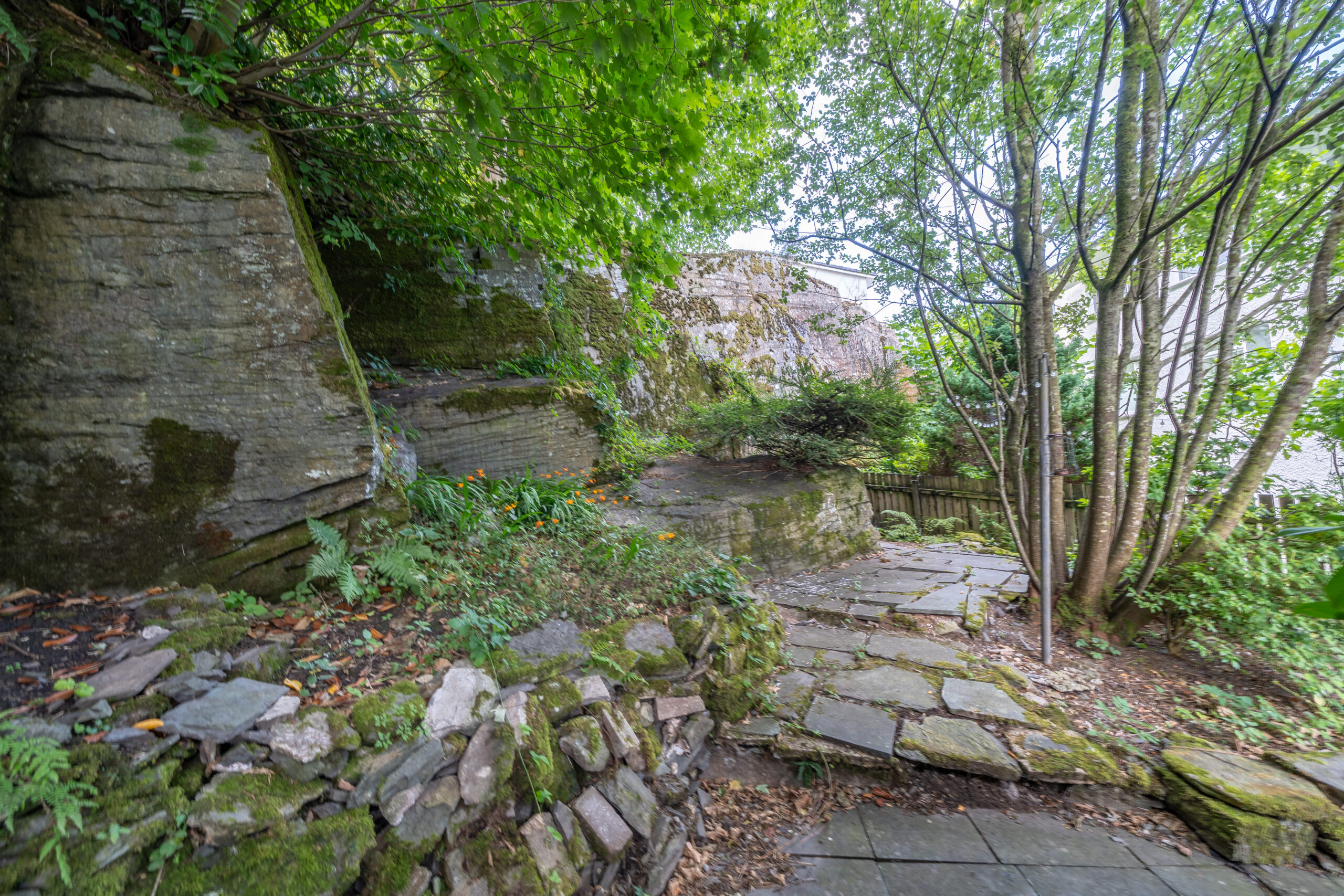 DSC05531-HDR.jpg