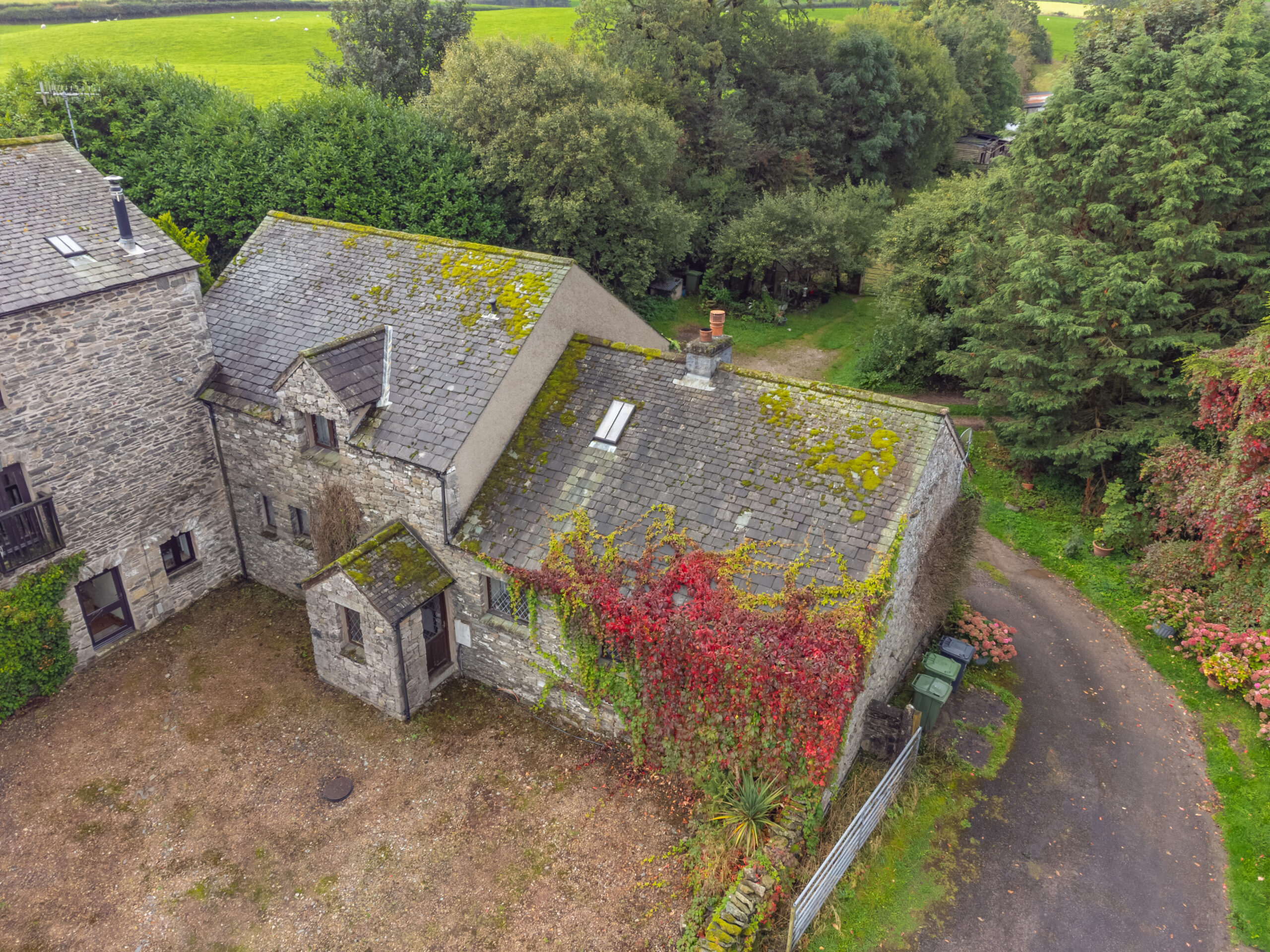 DJI_0665.jpg